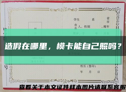 造假在哪里，?？茏约赫諉?？縮略圖
