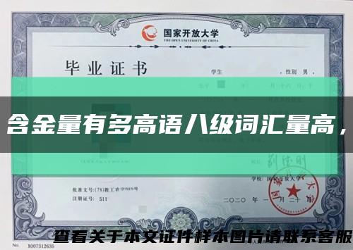 含金量有多高語八級詞匯量高，縮略圖