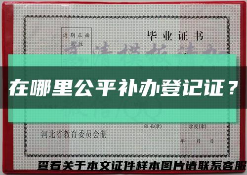 在哪里公平補辦登記證？縮略圖