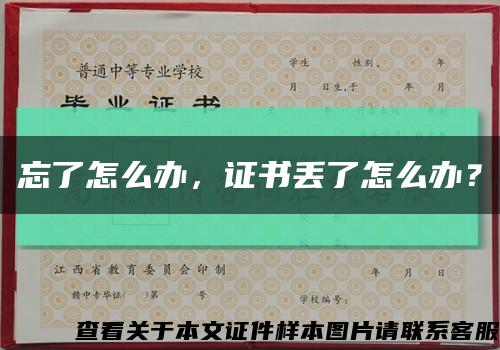 忘了怎么辦，證書丟了怎么辦？縮略圖