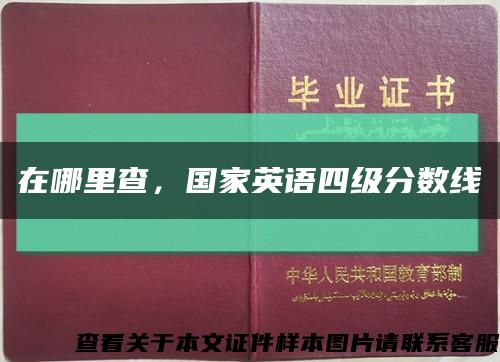 在哪里查，國家英語四級分數線縮略圖