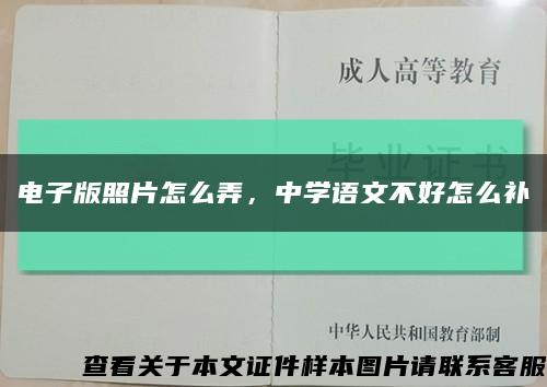 電子版照片怎么弄，中學語文不好怎么補縮略圖