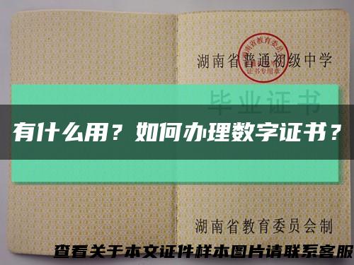 有什么用？如何辦理數字證書？縮略圖