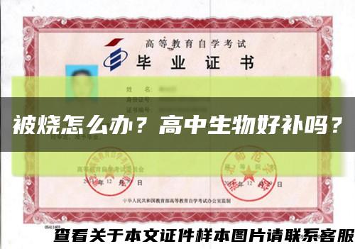 被燒怎么辦？高中生物好補嗎？縮略圖