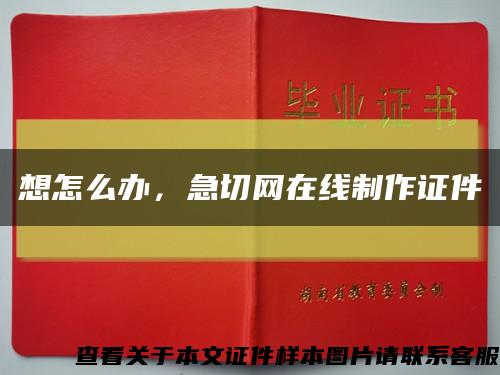 想怎么辦，急切網在線制作證件縮略圖