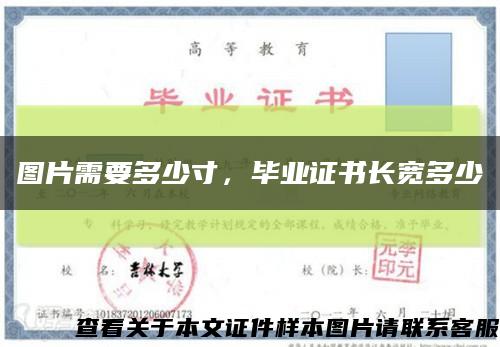 圖片需要多少寸，畢業證書長寬多少縮略圖