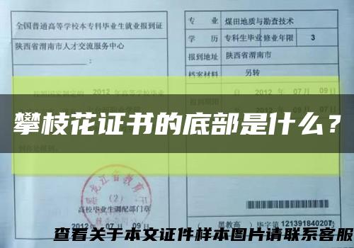 攀枝花證書的底部是什么？縮略圖
