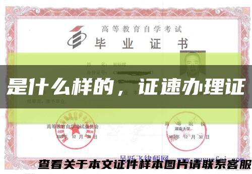 是什么樣的，證速辦理證縮略圖