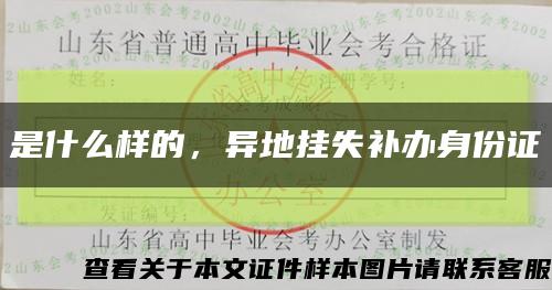 是什么樣的，異地掛失補辦身份證縮略圖