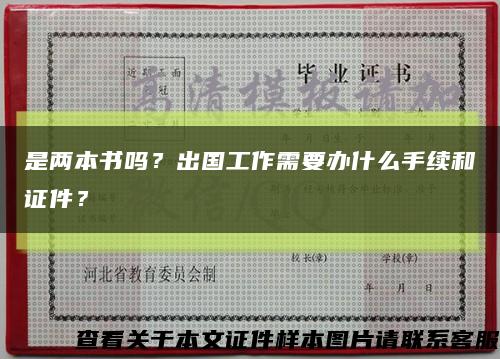 是兩本書嗎？出國工作需要辦什么手續和證件？縮略圖