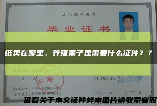 紙賣在哪里，養殖果子貍需要什么證件？？縮略圖