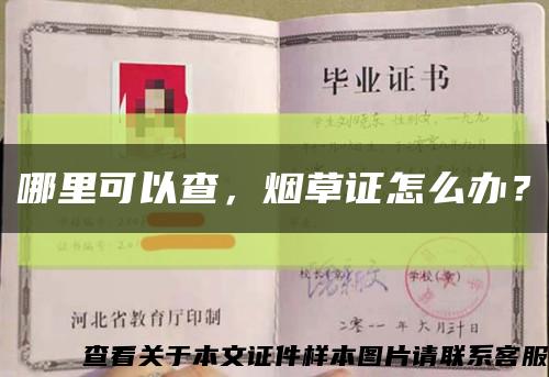 哪里可以查，煙草證怎么辦？縮略圖