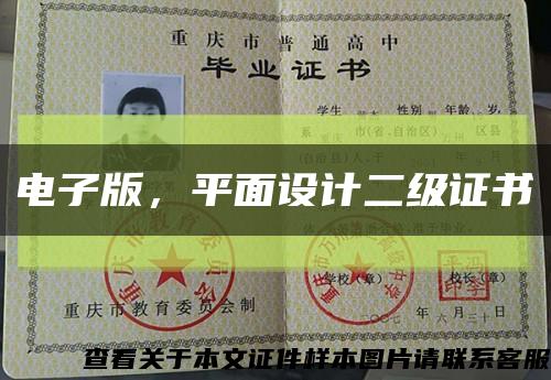 電子版，平面設計二級證書縮略圖