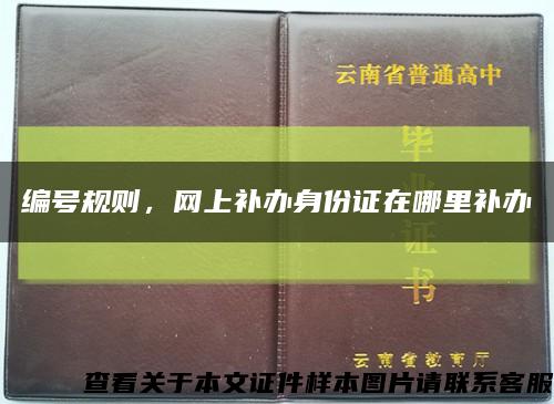 編號規則，網上補辦身份證在哪里補辦縮略圖