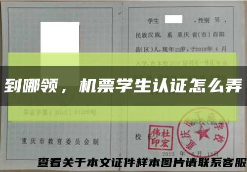 到哪領，機票學生認證怎么弄縮略圖
