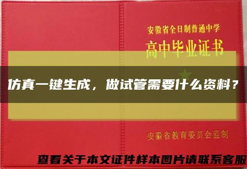 仿真一鍵生成，做試管需要什么資料？縮略圖
