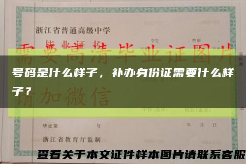 號碼是什么樣子，補辦身份證需要什么樣子？縮略圖