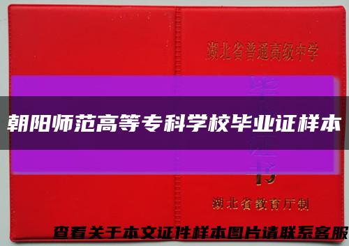 朝陽師范高等?？茖W校畢業證樣本縮略圖