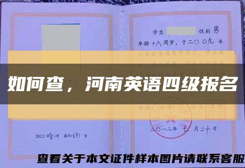 如何查，河南英語四級報名縮略圖