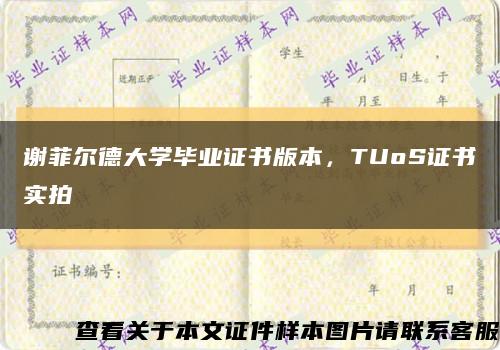 謝菲爾德大學畢業證書版本，TUoS證書實拍縮略圖
