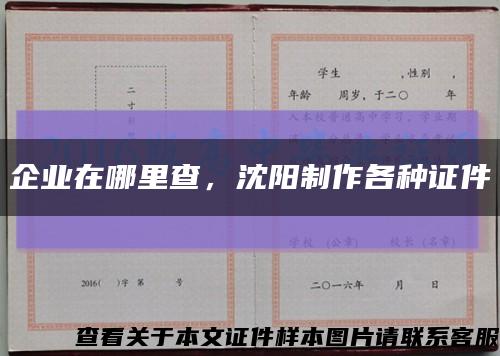 企業在哪里查，沈陽制作各種證件縮略圖