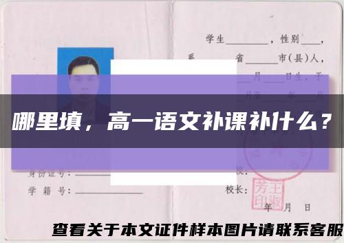 哪里填，高一語文補課補什么？縮略圖