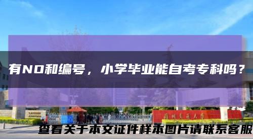 有NO和編號，小學畢業能自考?？茊?？縮略圖