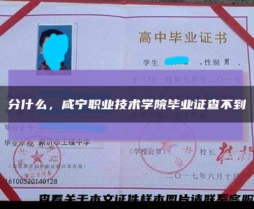 分什么，咸寧職業技術學院畢業證查不到縮略圖