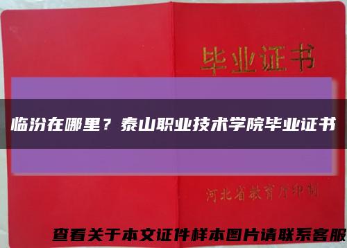 臨汾在哪里？泰山職業技術學院畢業證書縮略圖