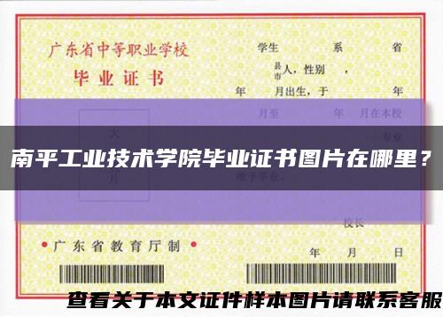 南平工業技術學院畢業證書圖片在哪里？縮略圖