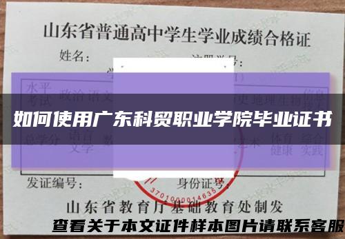 如何使用廣東科貿職業學院畢業證書縮略圖