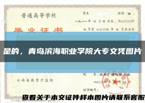 是的，青島濱海職業學院大專文憑圖片縮略圖