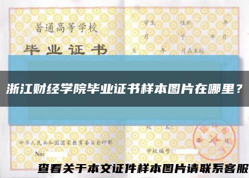 浙江財經學院畢業證書樣本圖片在哪里？縮略圖