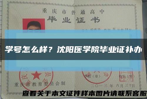 學號怎么樣？沈陽醫學院畢業證補辦縮略圖
