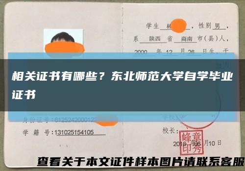 相關證書有哪些？東北師范大學自學畢業證書縮略圖