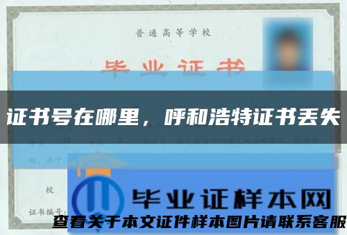 證書號在哪里，呼和浩特證書丟失縮略圖