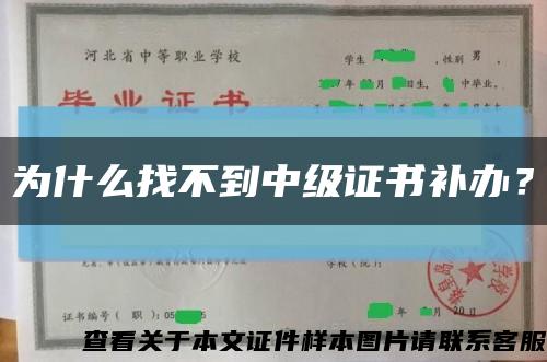為什么找不到中級證書補辦？縮略圖