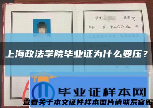 上海政法學院畢業證為什么要壓？縮略圖