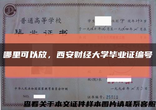哪里可以放，西安財經大學畢業證編號縮略圖