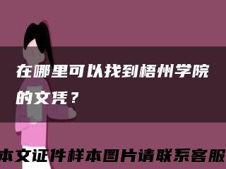 在哪里可以找到梧州學院的文憑？縮略圖