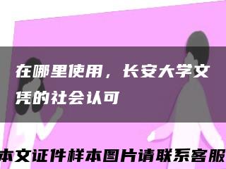 在哪里使用，長安大學文憑的社會認可縮略圖