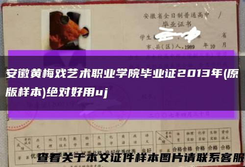 安徽黃梅戲藝術職業學院畢業證2013年(原版樣本)絕對好用uj縮略圖