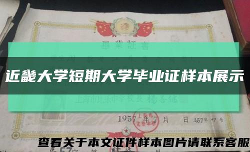近畿大學短期大學畢業證樣本展示縮略圖