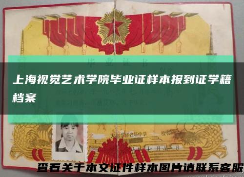 上海視覺藝術學院畢業證樣本報到證學籍檔案縮略圖