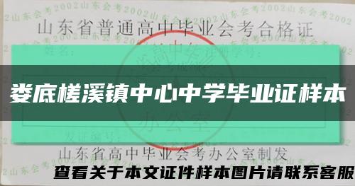 婁底槎溪鎮中心中學畢業證樣本縮略圖