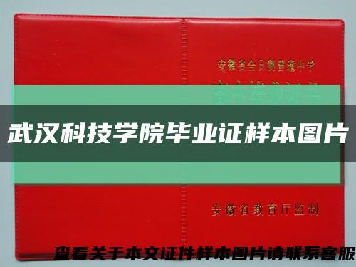 武漢科技學院畢業證樣本圖片縮略圖