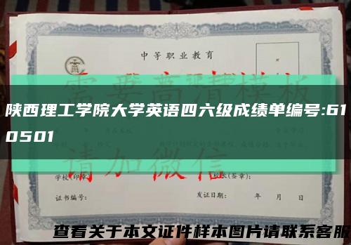 陜西理工學院大學英語四六級成績單編號:610501縮略圖