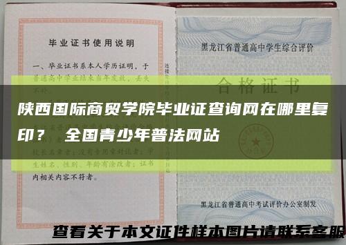 陜西國際商貿學院畢業證查詢網在哪里復??？ 全國青少年普法網站縮略圖