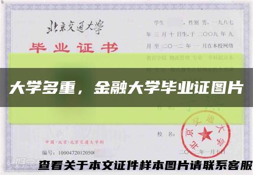 大學多重，金融大學畢業證圖片縮略圖