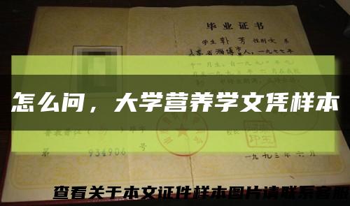 怎么問，大學營養學文憑樣本縮略圖